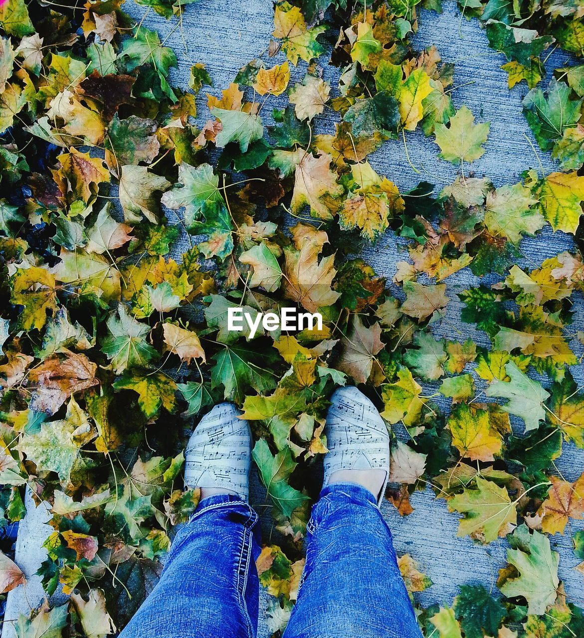 LOW SECTION OF MAN STANDING ON LEAVES