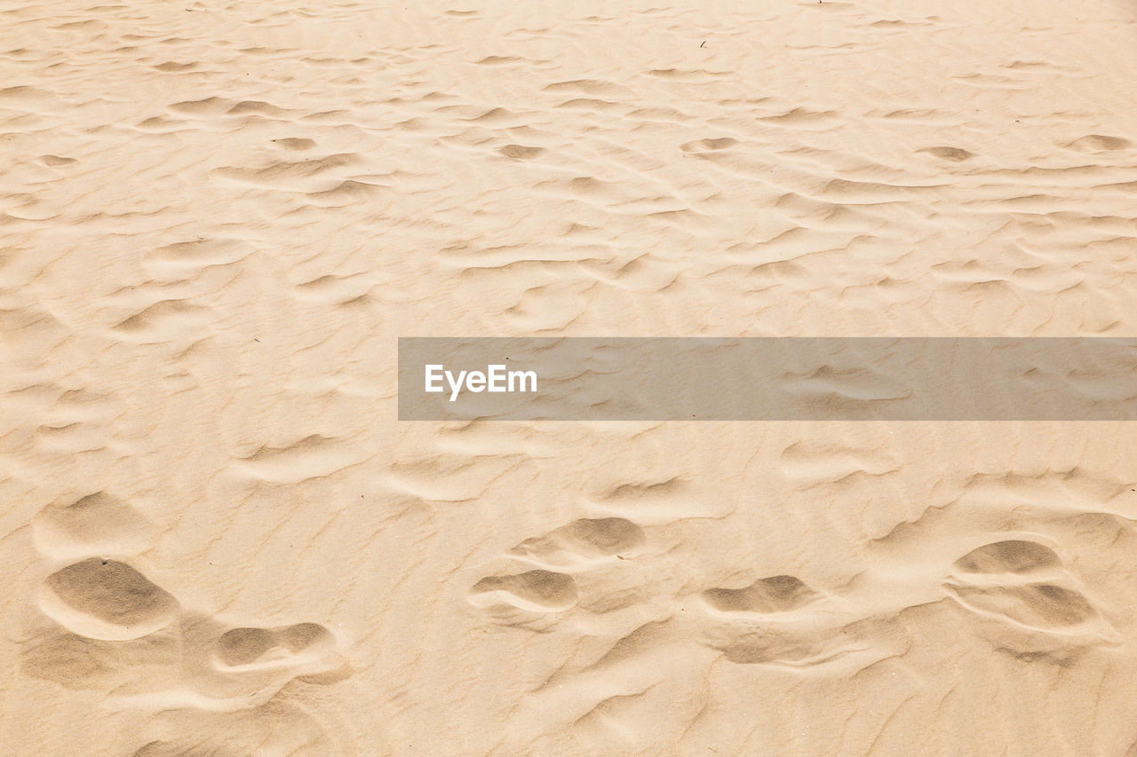 CLOSE-UP OF FOOTPRINTS ON SAND