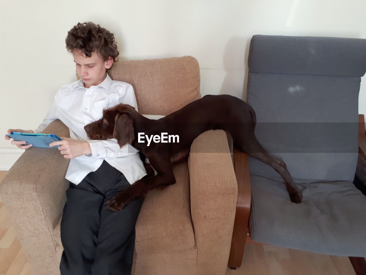 High angle view of dog looking at teenage boy using phone while sitting on sofa at home