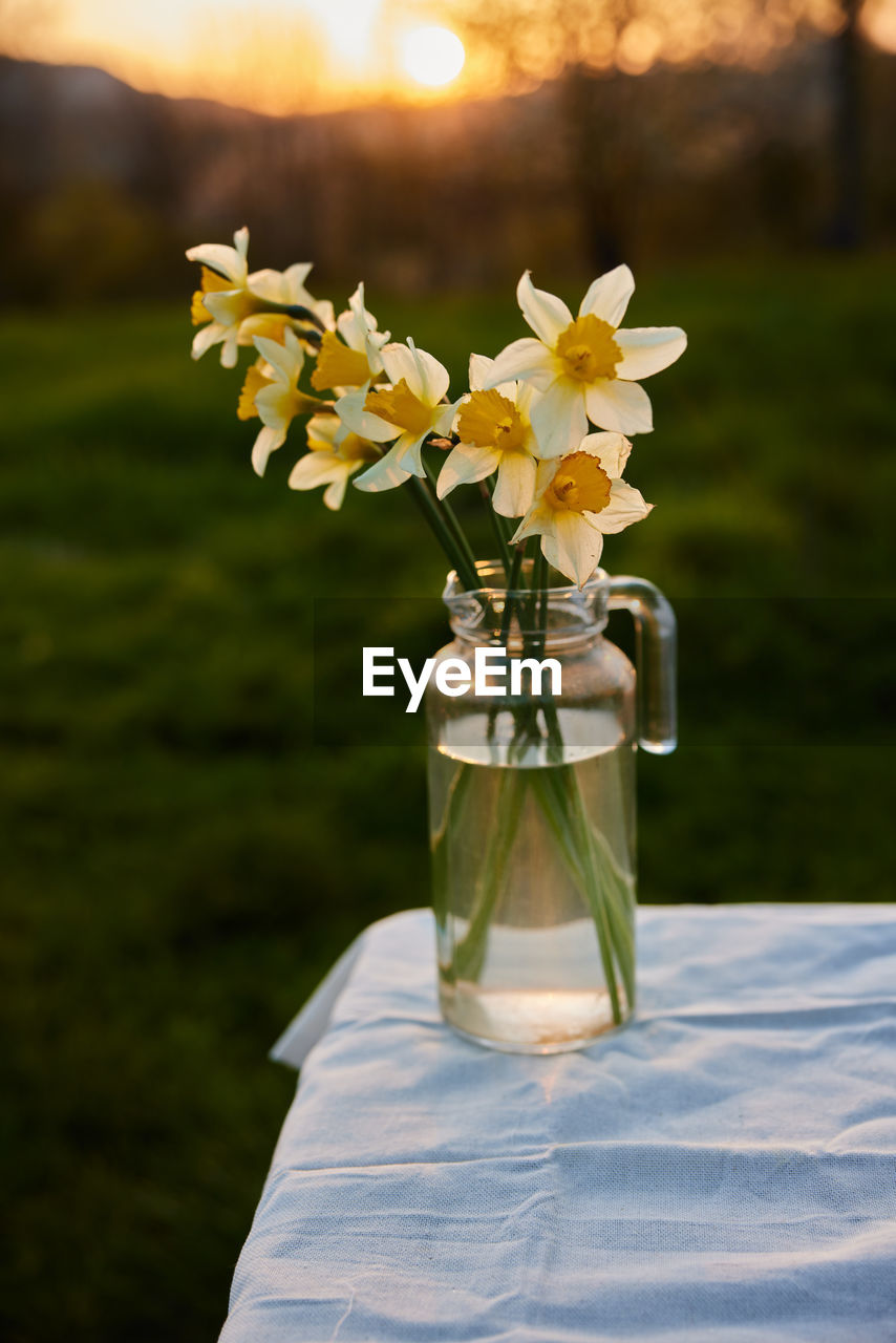 close-up of flowers in vase on table