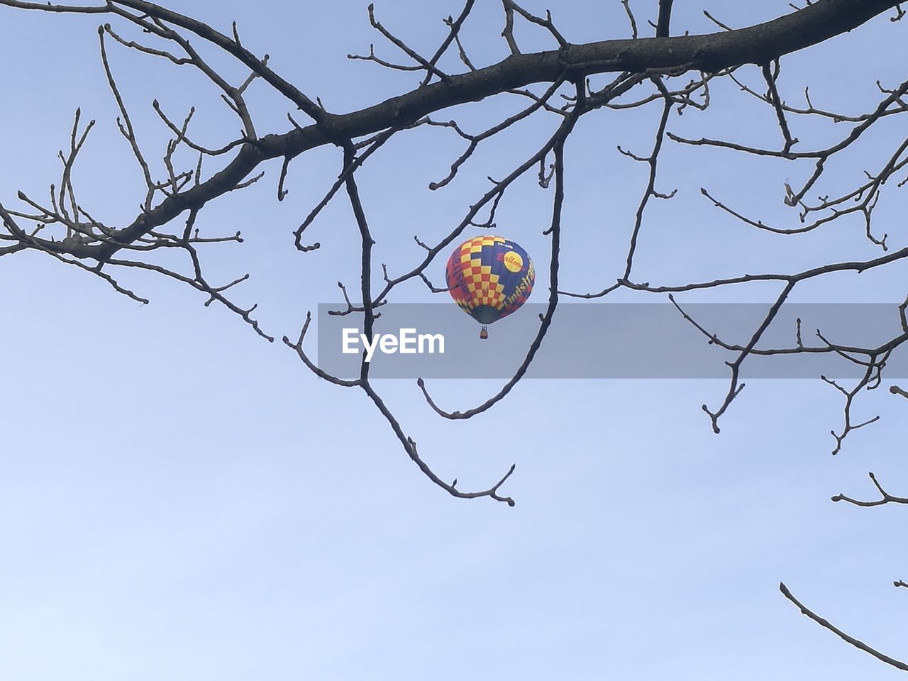 CLOSE-UP OF BARE BRANCHES AGAINST SKY