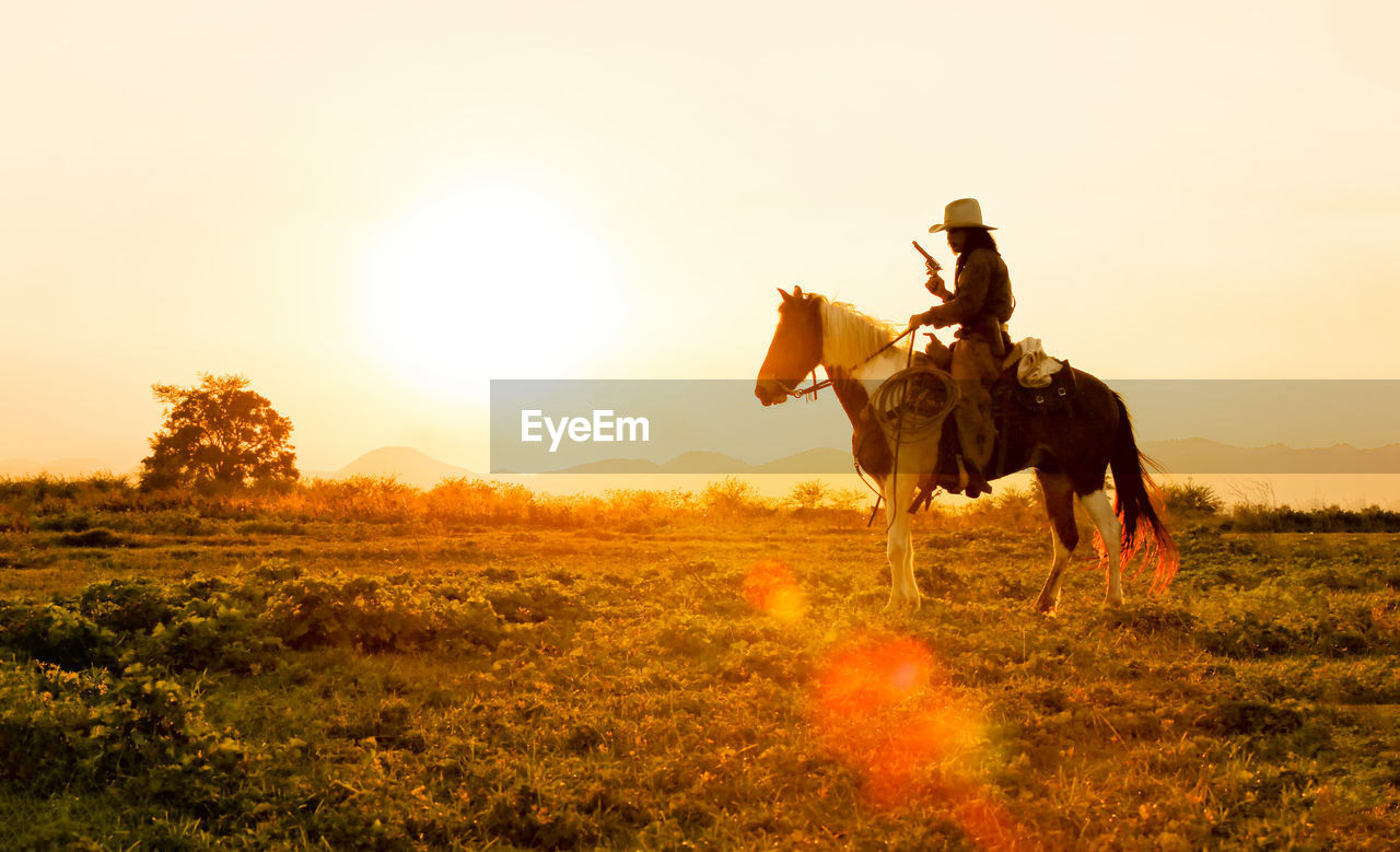 Full length of man sitting on horse at field during sunset