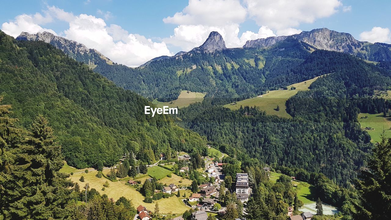 HIGH ANGLE VIEW OF TREES ON MOUNTAIN AGAINST SKY