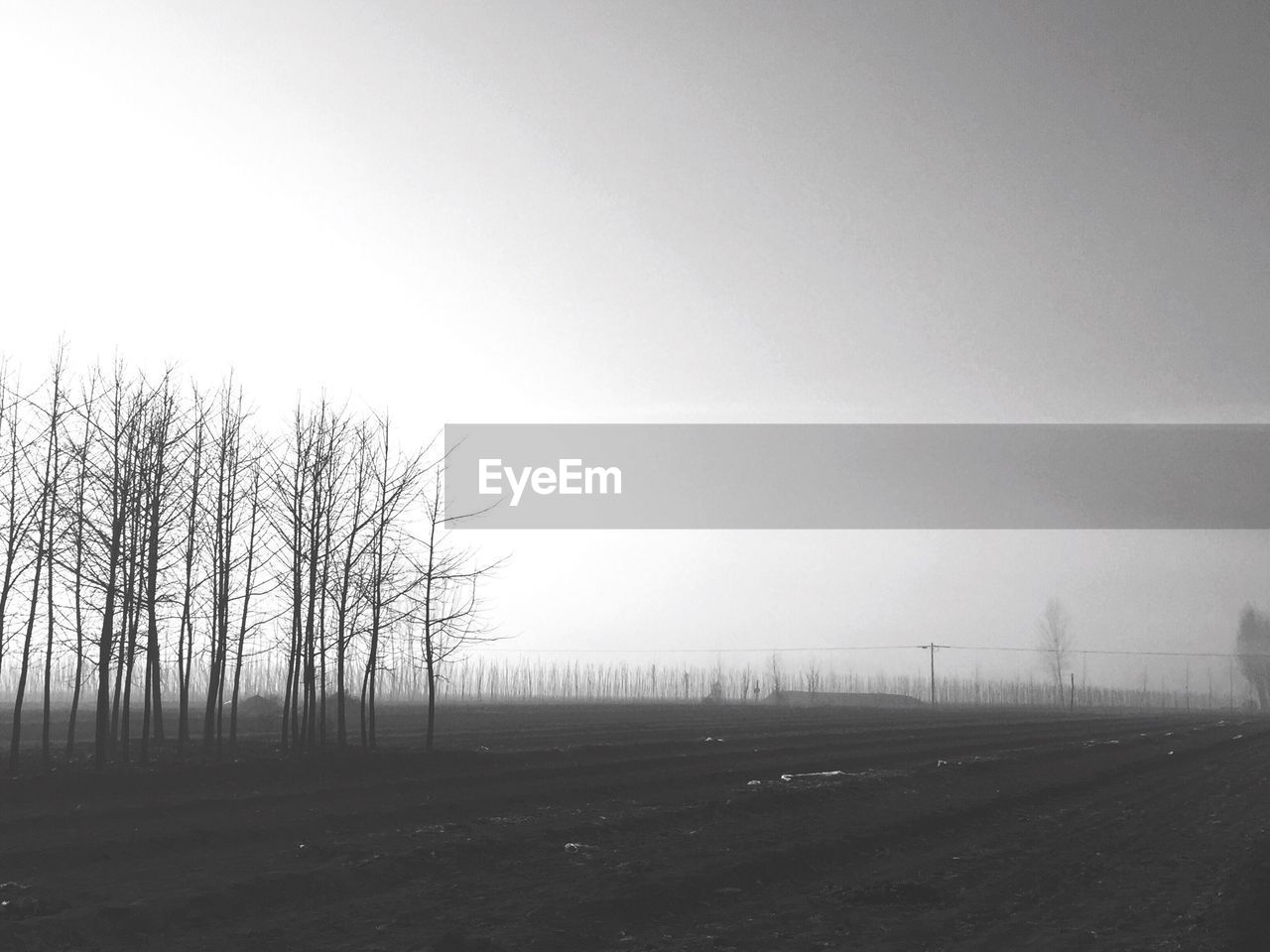 Scenic view of field against cloudy sky