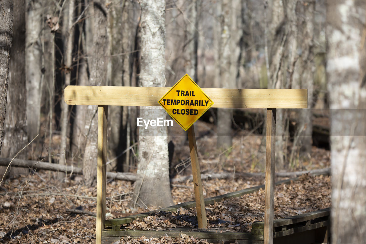 sign, communication, warning sign, text, wood, tree, no people, yellow, nature, tree trunk, trunk, western script, day, land, information sign, plant, soil, forest, outdoors, focus on foreground, guidance, protection