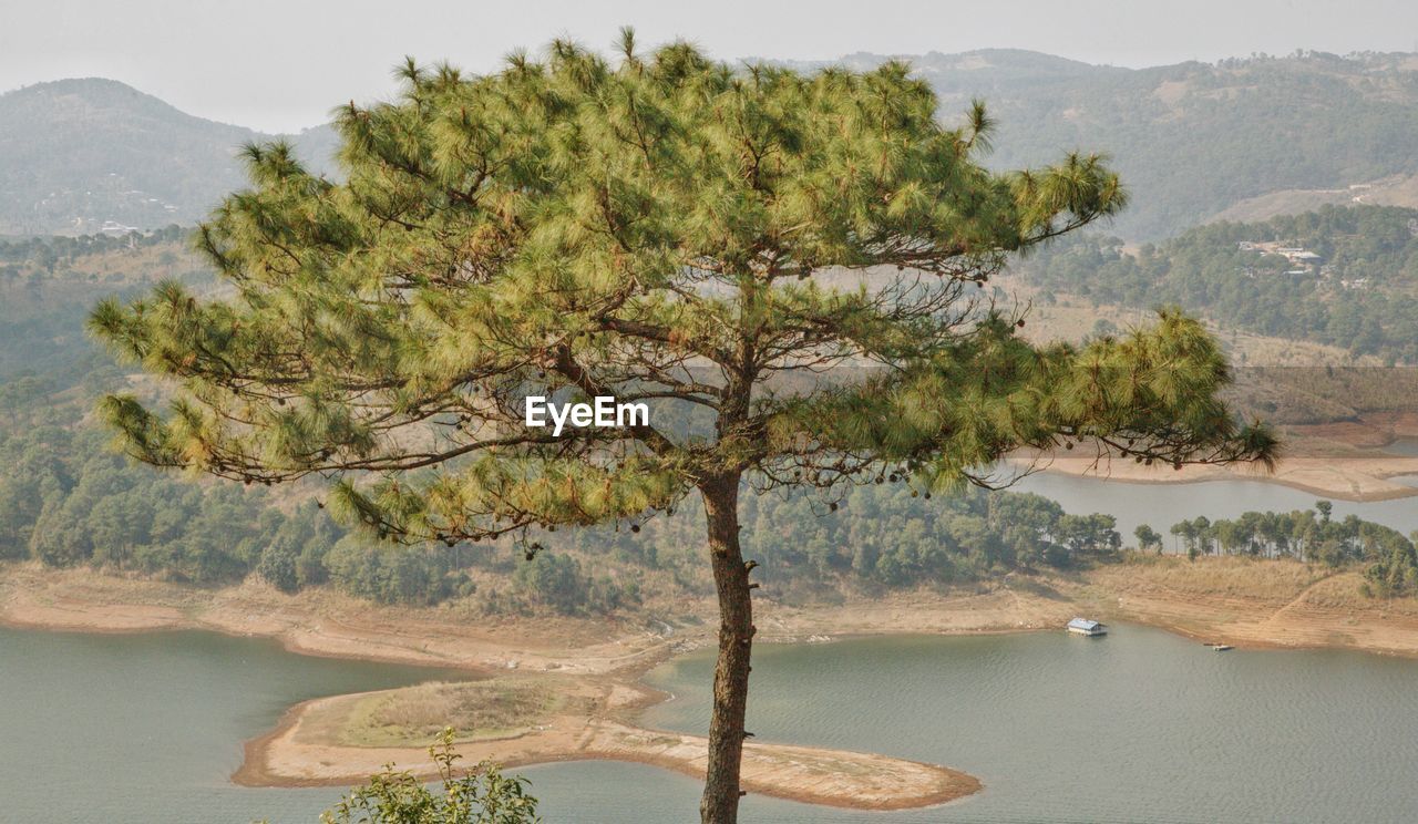 Scenic view of lake by tree mountain