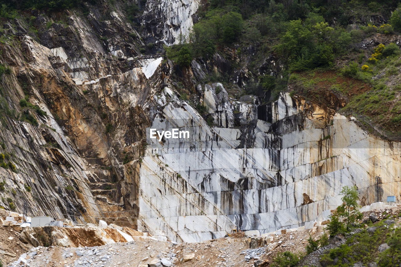 PLANTS GROWING ON ROCK IN A VALLEY