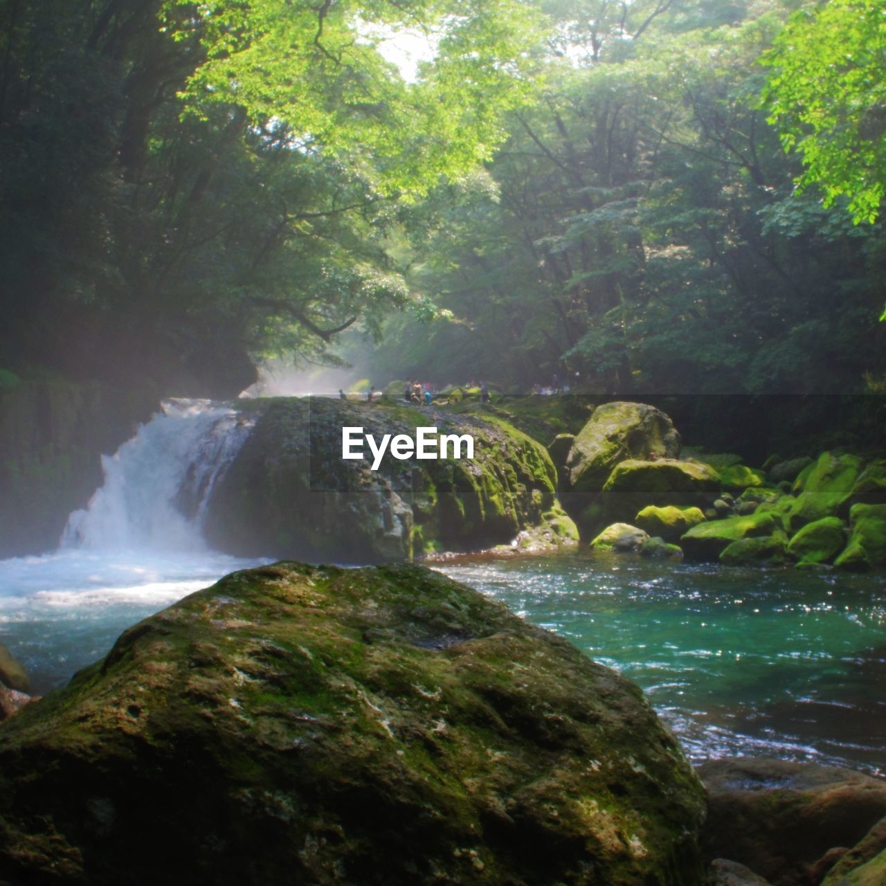 WATERFALL IN FOREST