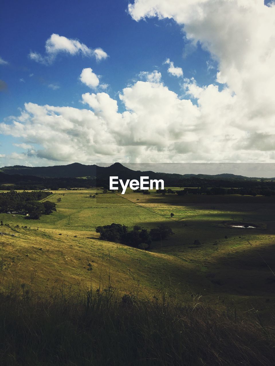 Scenic view of grassy field against cloudy sky