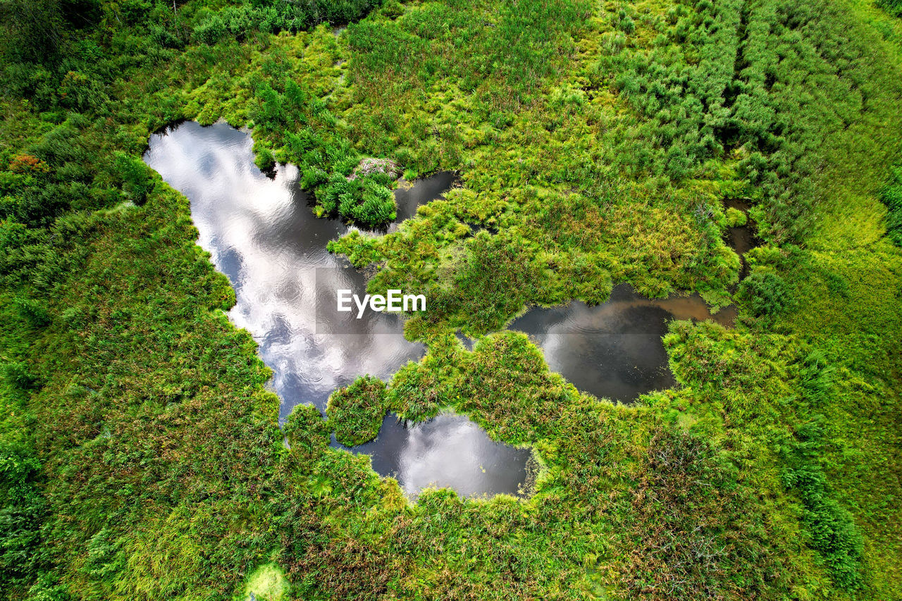 HIGH ANGLE VIEW OF WATER FLOWING IN FOREST