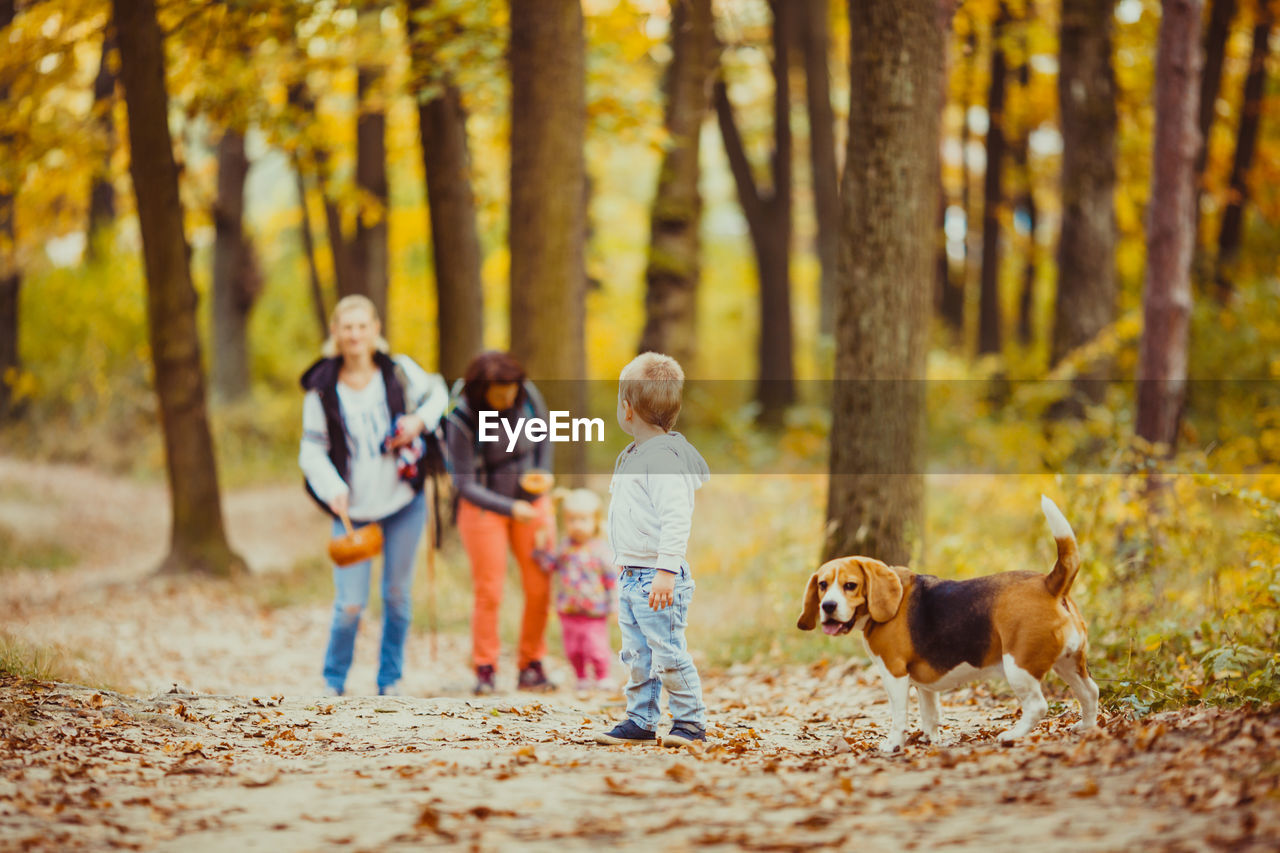 People with dog in forest during autumn