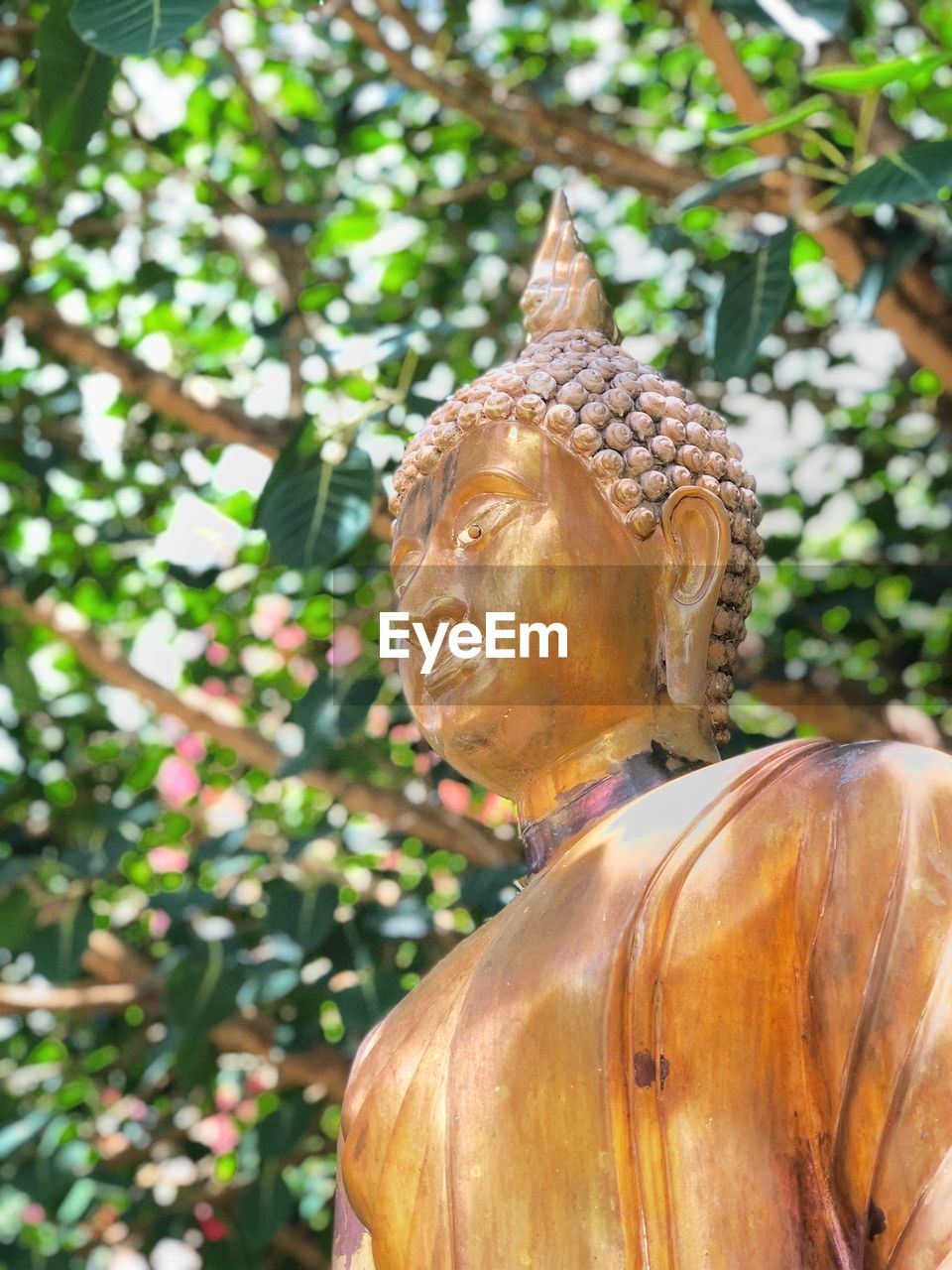 Close-up of buddha statue against trees