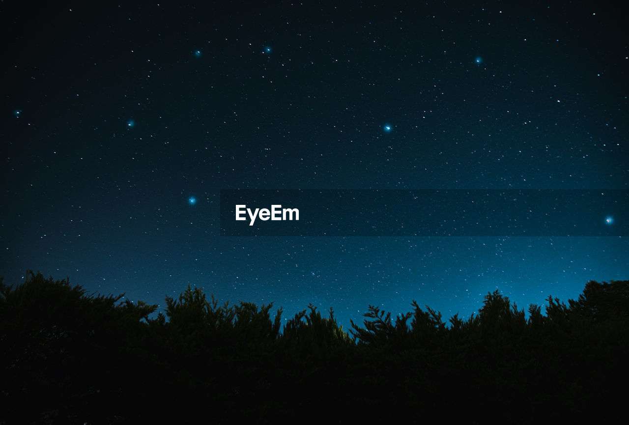 LOW ANGLE VIEW OF SILHOUETTE TREES AGAINST STAR FIELD