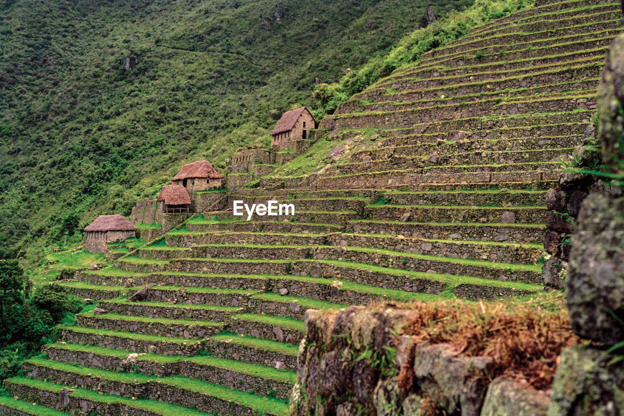Agricultural terraces on a cliff slope and houses in the ancient inca city of machu picchu, in peru.