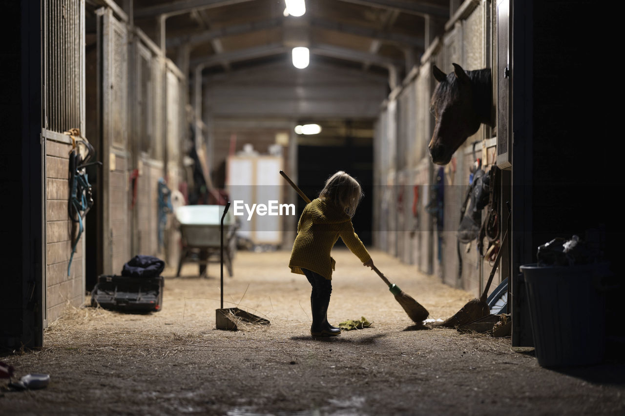 Girl sweeping illuminated stable with broom