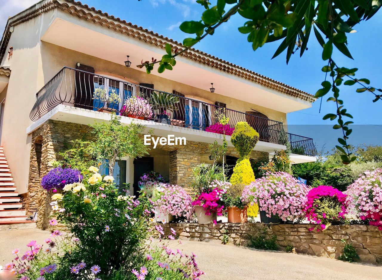 LOW ANGLE VIEW OF FLOWERING PLANTS OUTSIDE BUILDING