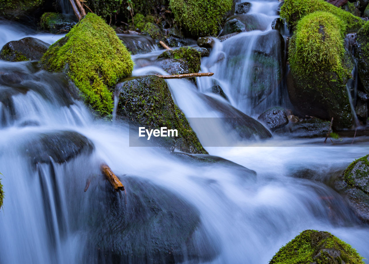 Scenic view of waterfall