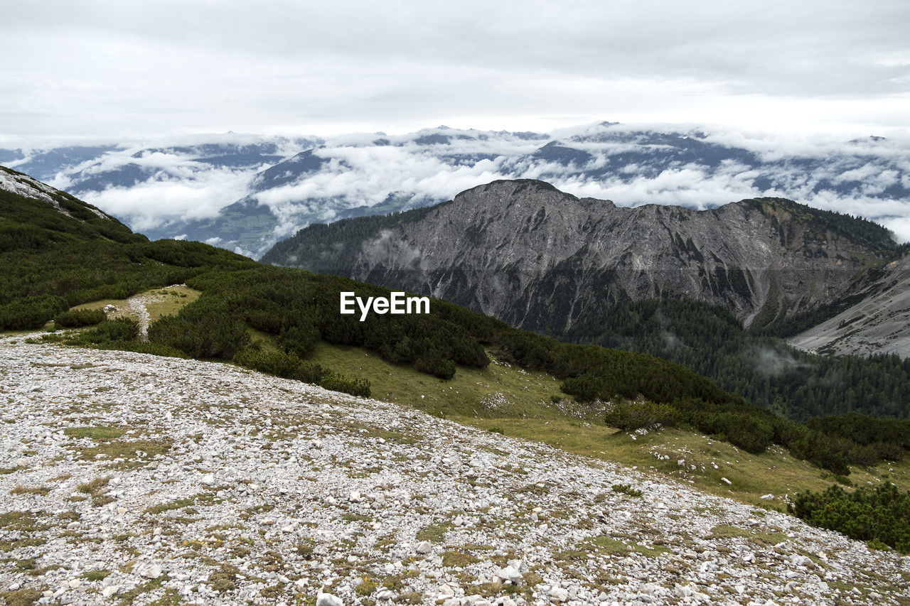 mountain, scenics - nature, environment, landscape, snow, beauty in nature, mountain range, cold temperature, cloud, sky, nature, winter, mountain pass, land, wilderness, travel, adventure, walking, snowcapped mountain, plant, travel destinations, no people, ridge, highland, non-urban scene, tranquil scene, tranquility, activity, backpacking, rock, outdoors, mountain peak, leisure activity, tourism, coniferous tree, valley, day, grass, moraine, tree, plateau, pine tree, pinaceae, forest, idyllic, pine woodland, overcast, outdoor pursuit, cirque, vacation, remote, trip, holiday
