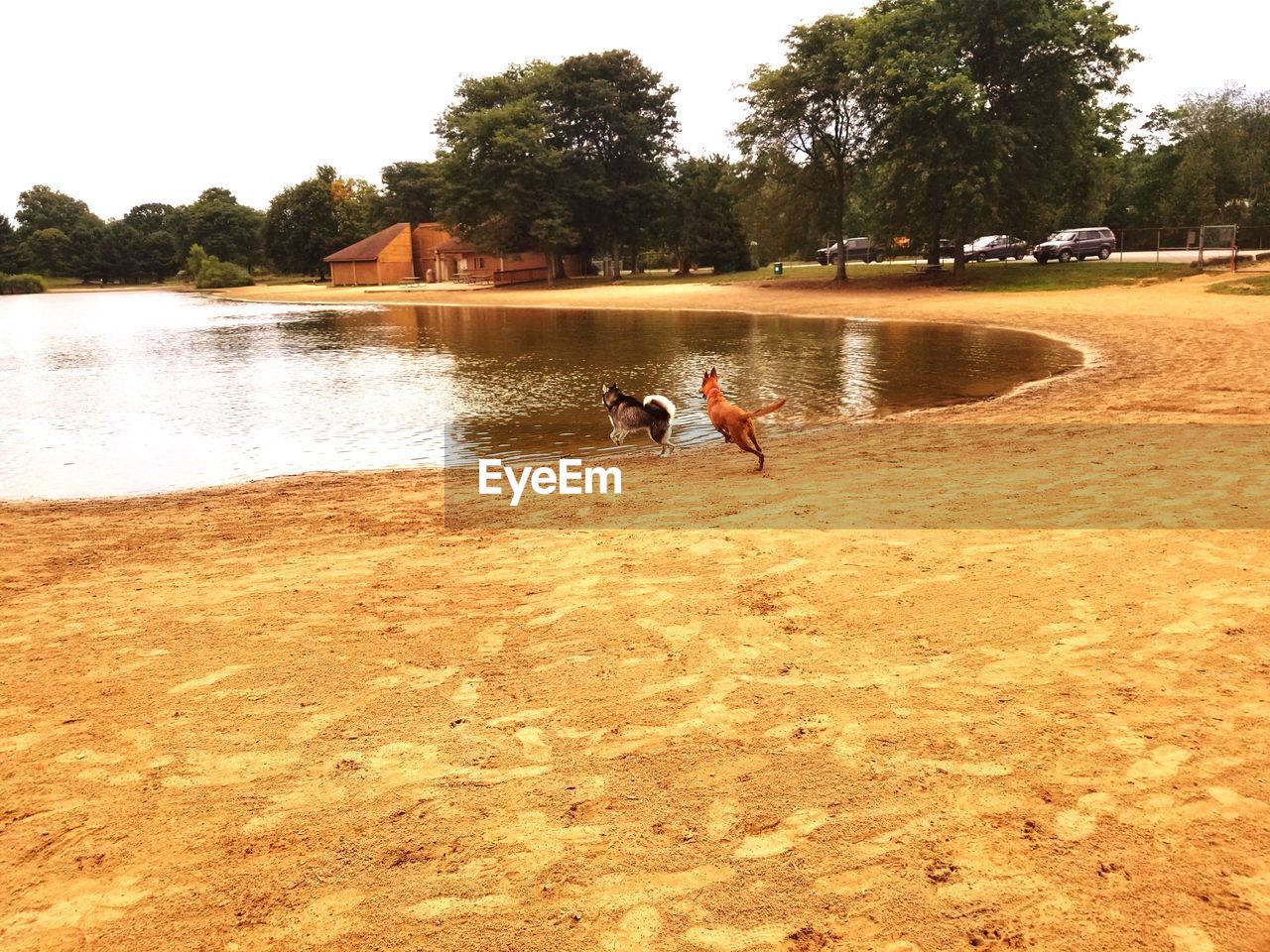 PEOPLE PLAYING IN WATER AT PARK