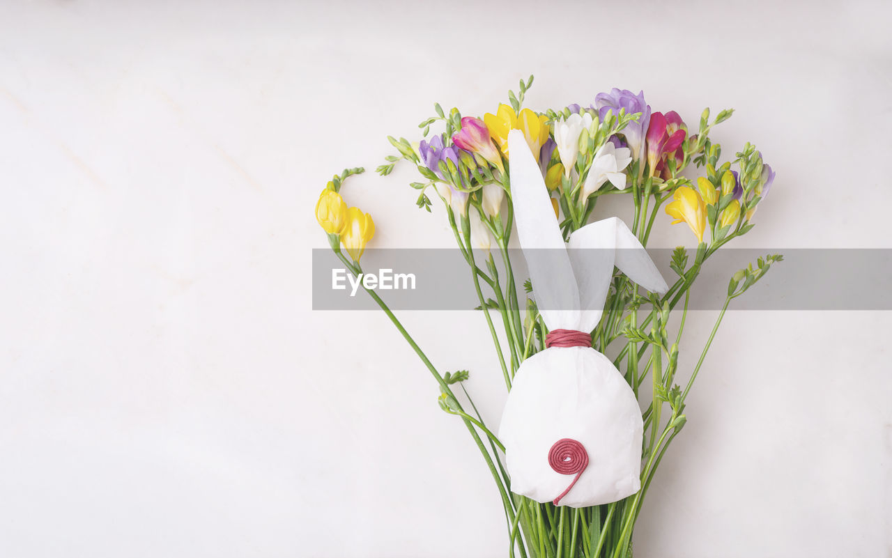 CLOSE-UP OF WHITE FLOWERS IN VASE AGAINST WALL