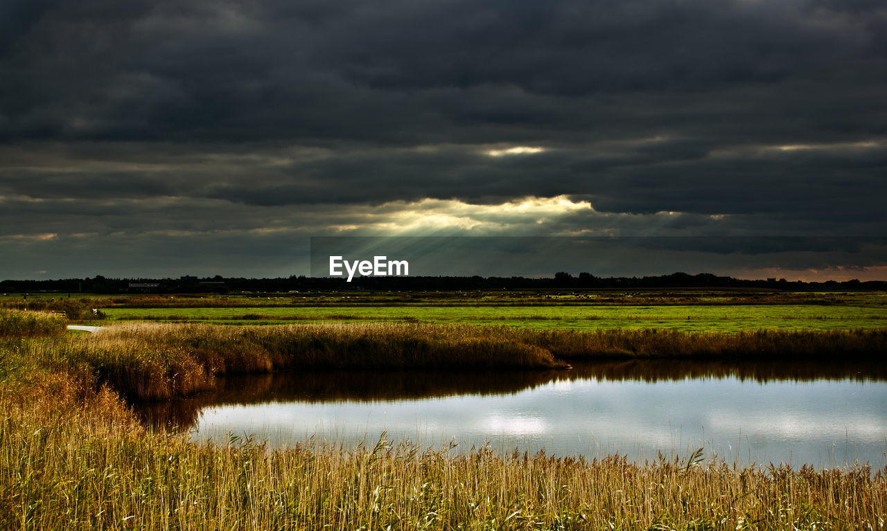 SCENIC VIEW OF RURAL LANDSCAPE