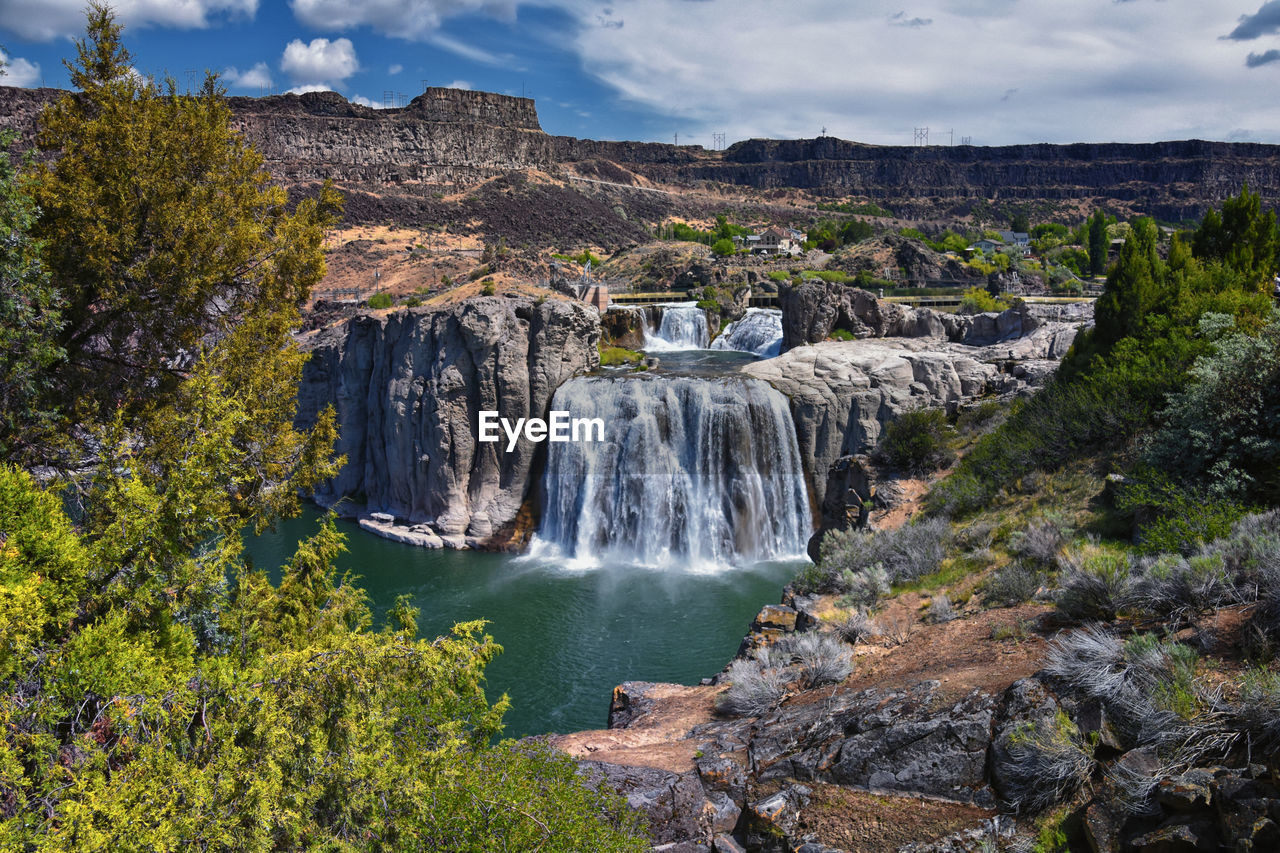 scenic view of waterfall in forest