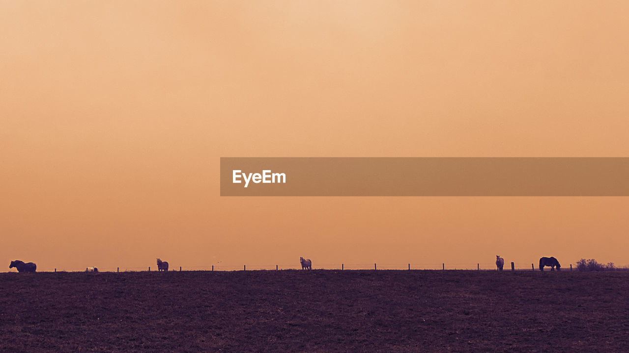 SILHOUETTE PEOPLE ON BEACH AGAINST CLEAR SKY DURING SUNSET