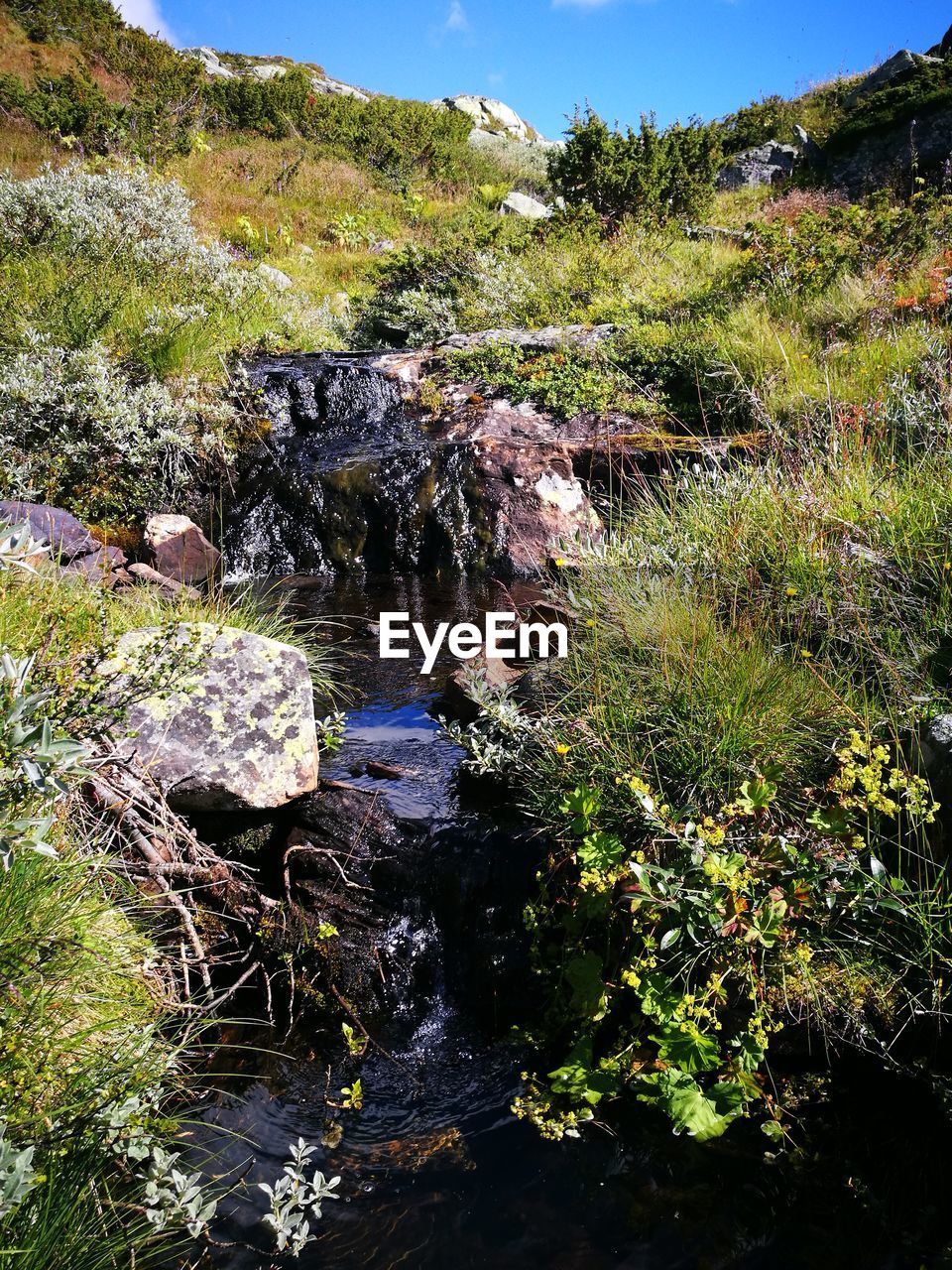 VIEW OF WATERFALL