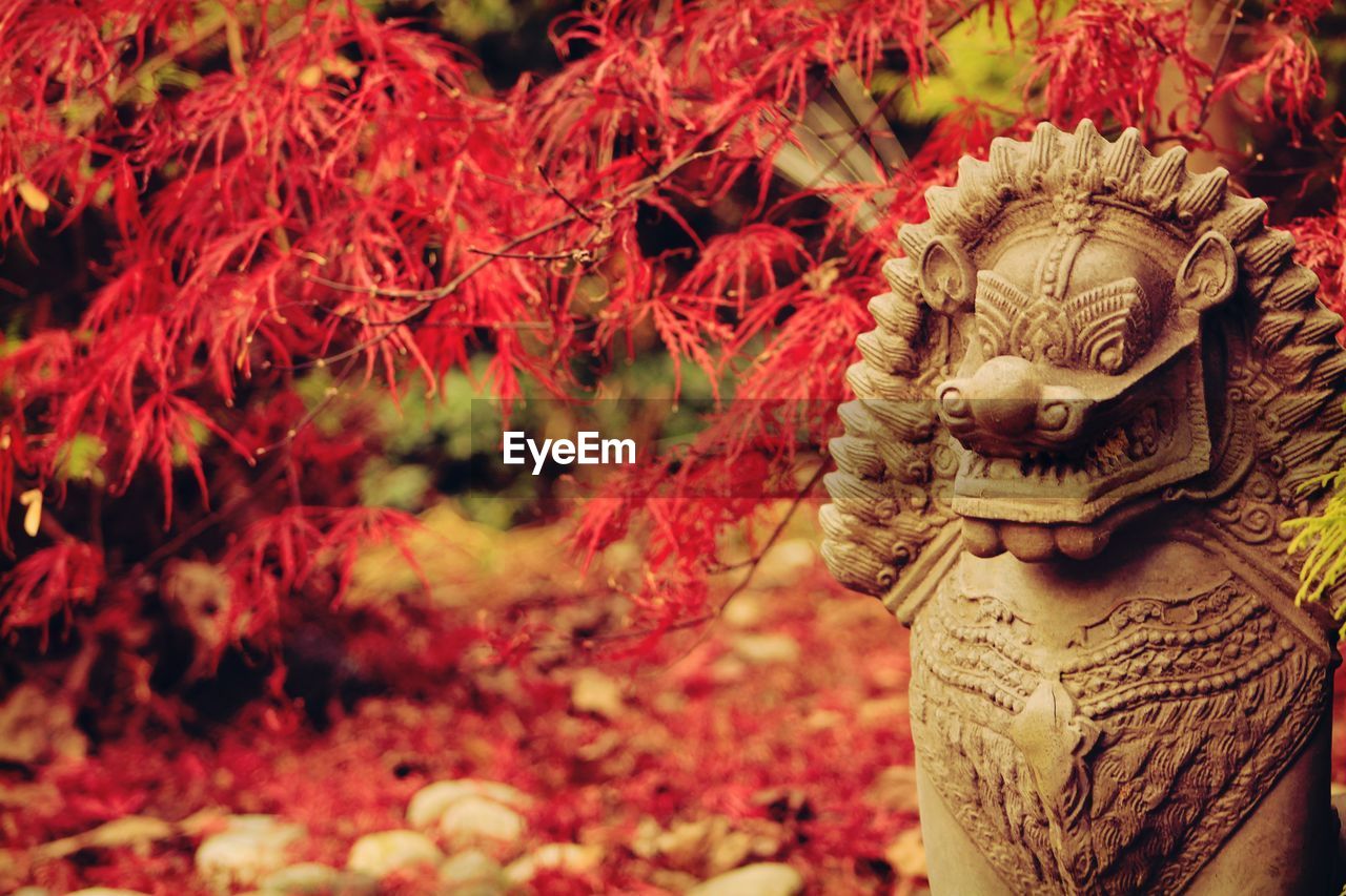 CLOSE-UP OF STATUE AGAINST RED PLANTS