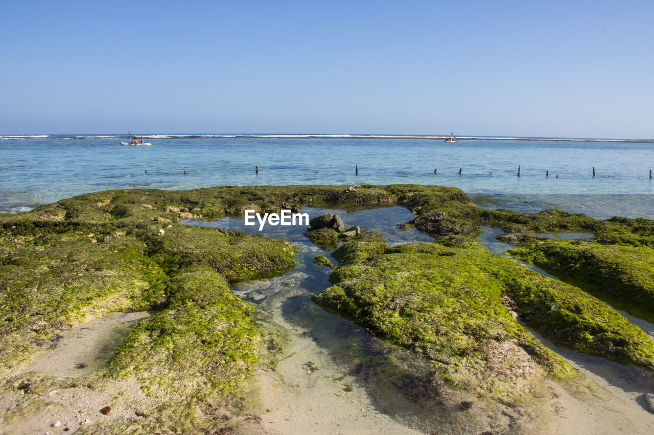 SCENIC VIEW OF BEACH AGAINST CLEAR BLUE SKY