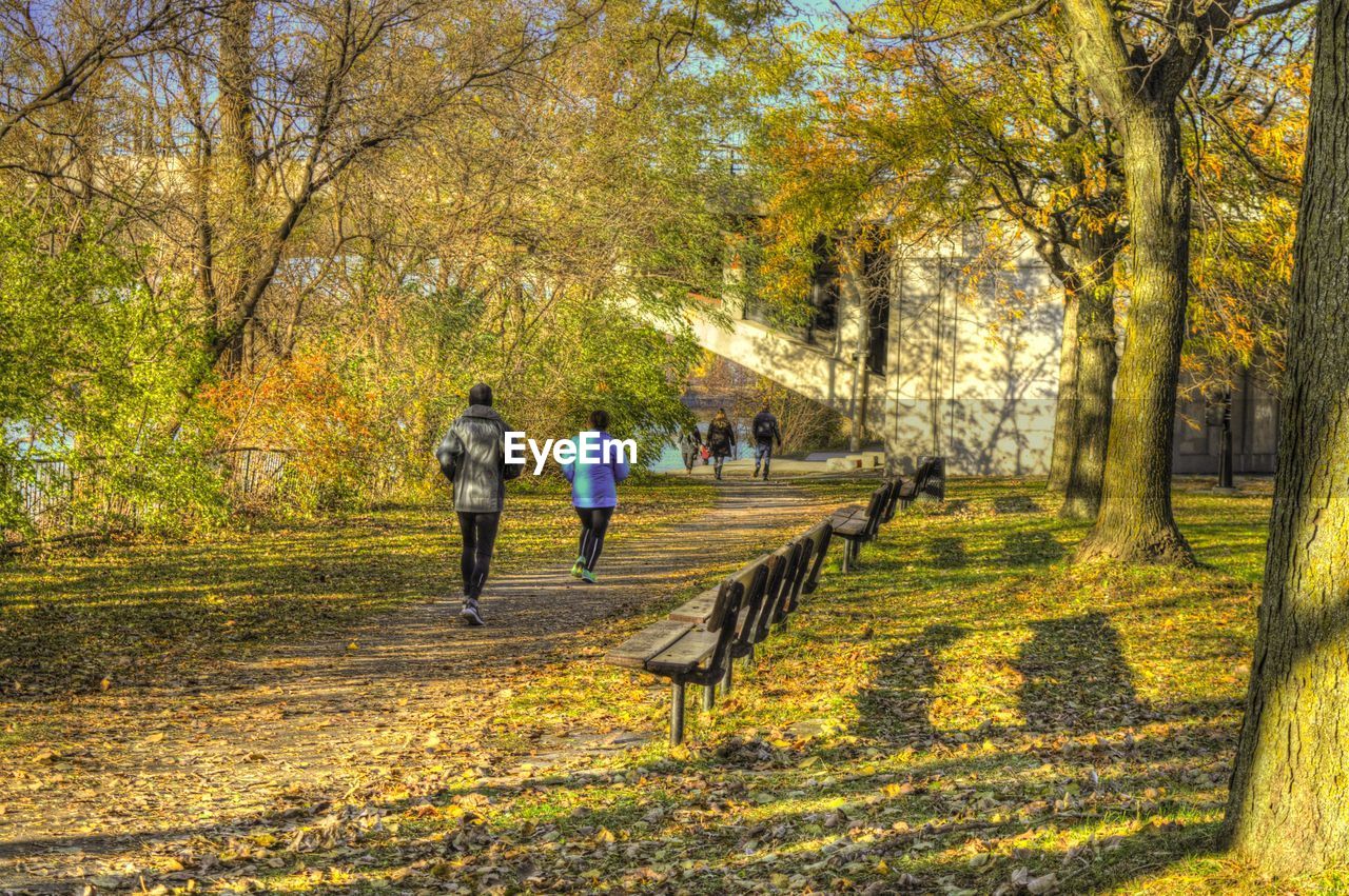 REAR VIEW OF PEOPLE WALKING ON FOOTPATH IN PARK DURING AUTUMN