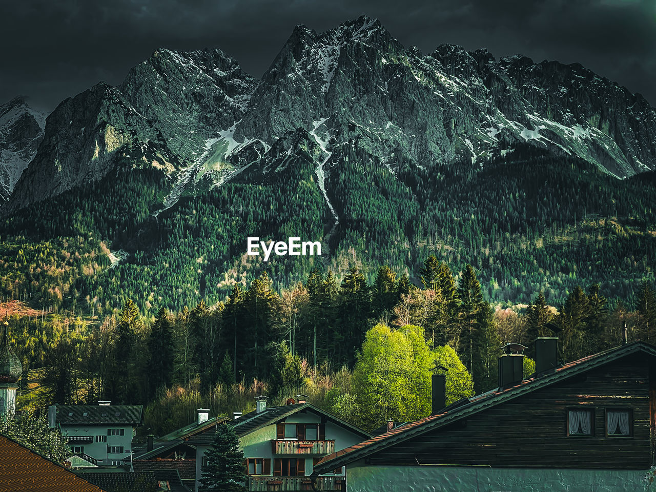 Trees and mountains against sky