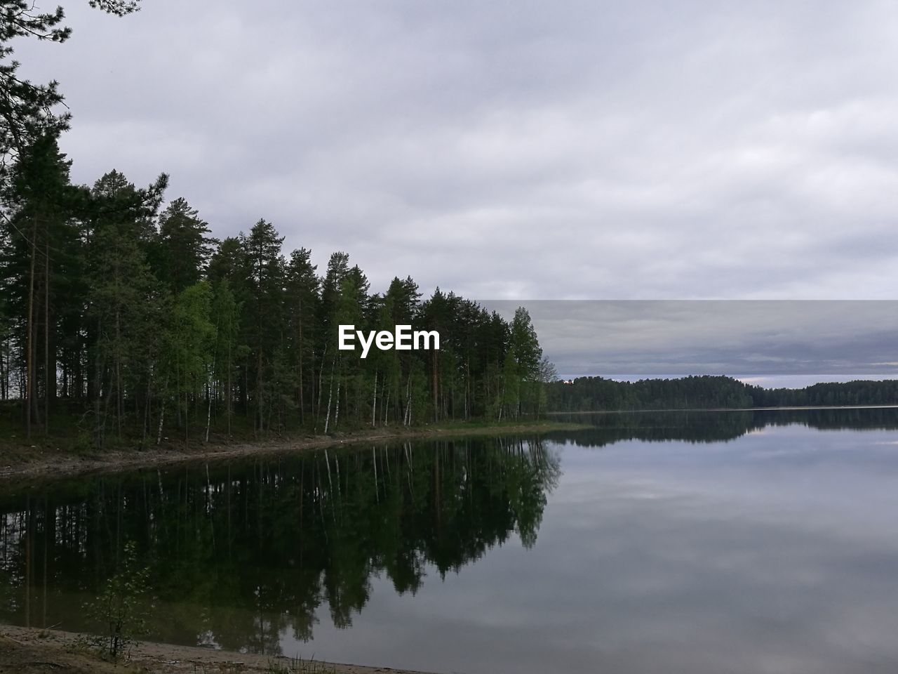 REFLECTION OF TREES ON LAKE AGAINST SKY