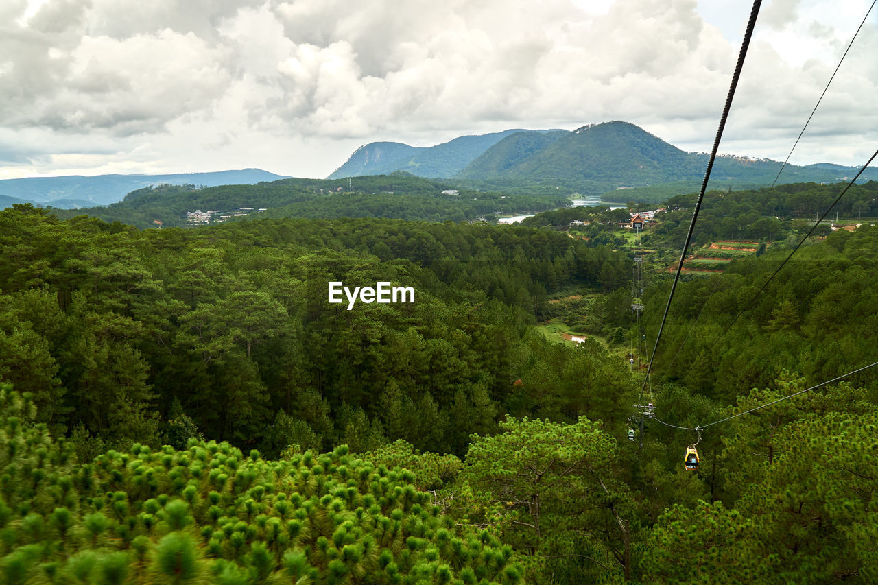 SCENIC VIEW OF FOREST AGAINST SKY