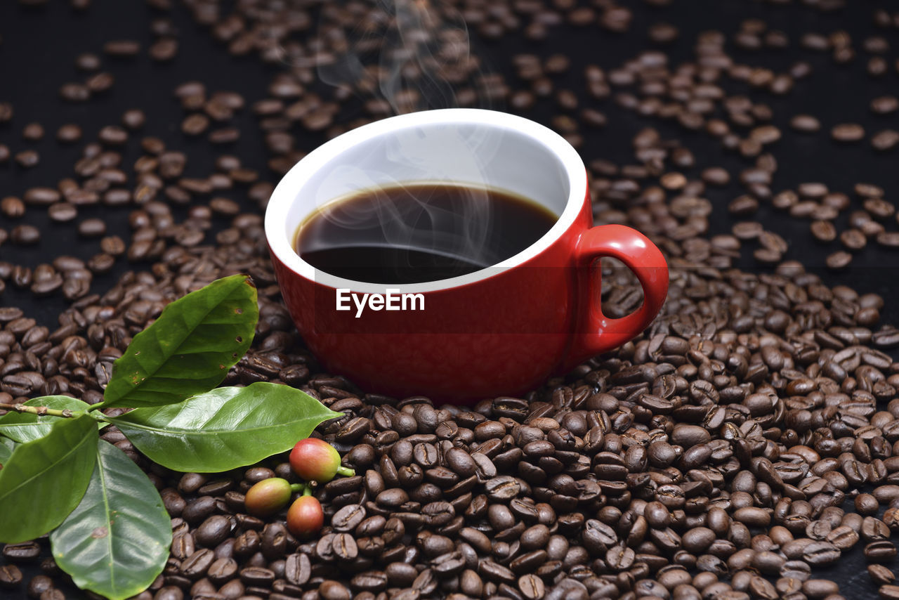 CLOSE-UP OF COFFEE CUP ON TABLE