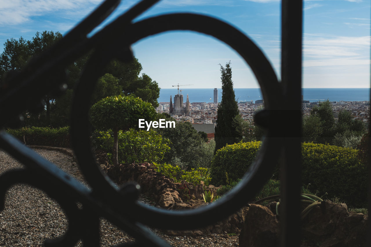 TREES AND PLANTS AGAINST SKY SEEN THROUGH FENCE