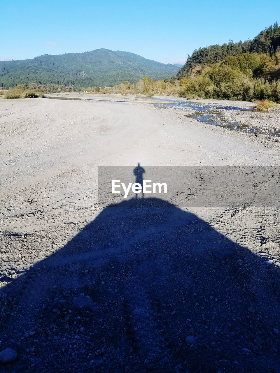 MAN STANDING ON BEACH AGAINST CLEAR SKY