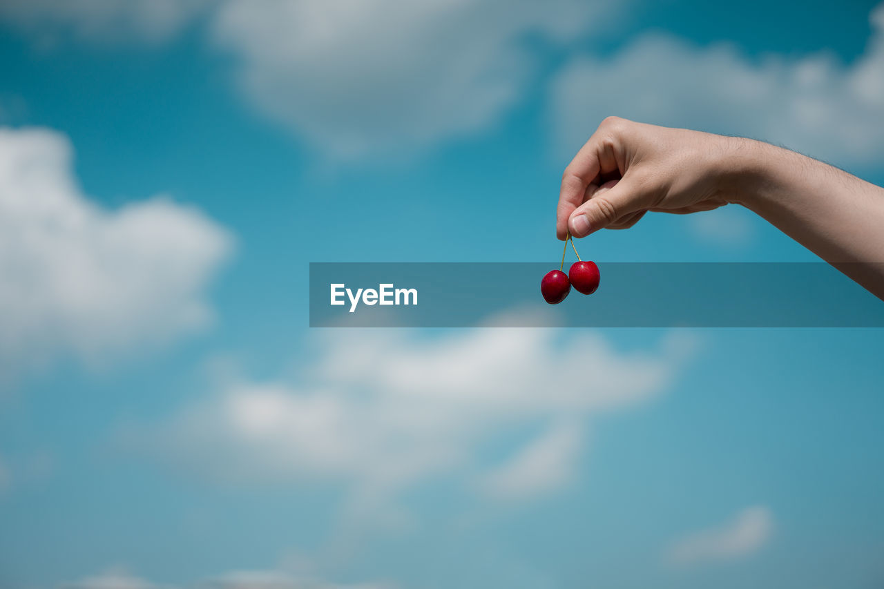 Cropped hand of person holding fruit against sky