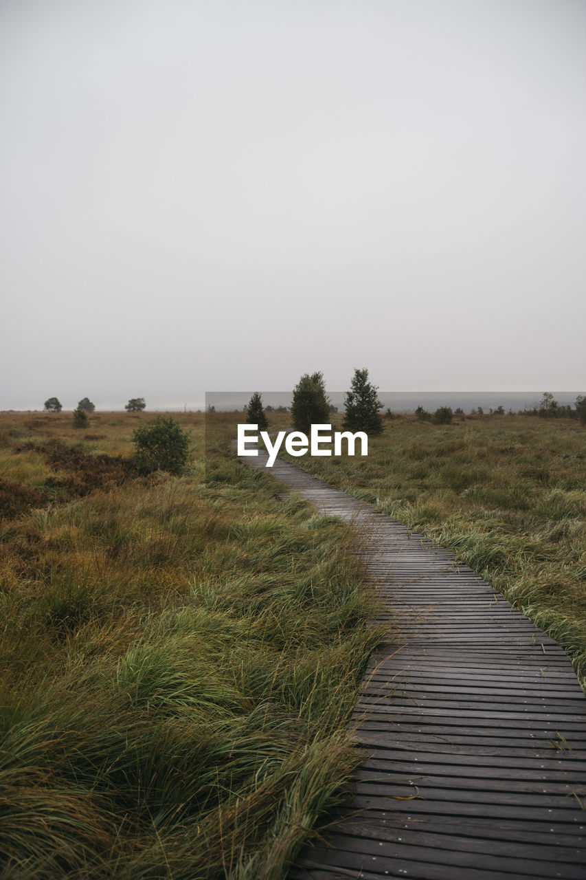 A path leading through a field on a foggy morning in belgium.