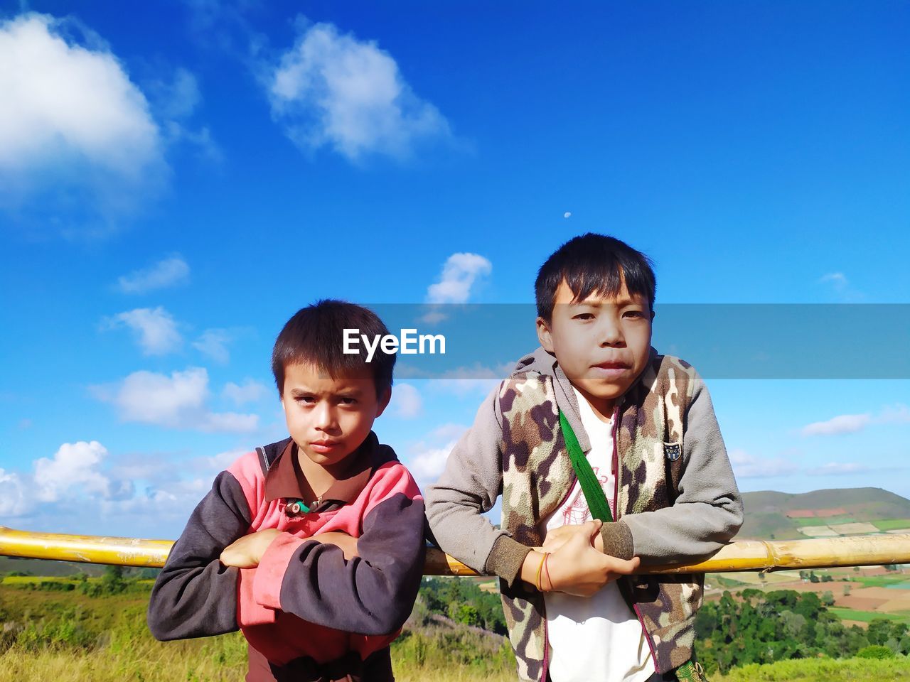 Portrait of brothers standing by bamboo against sky