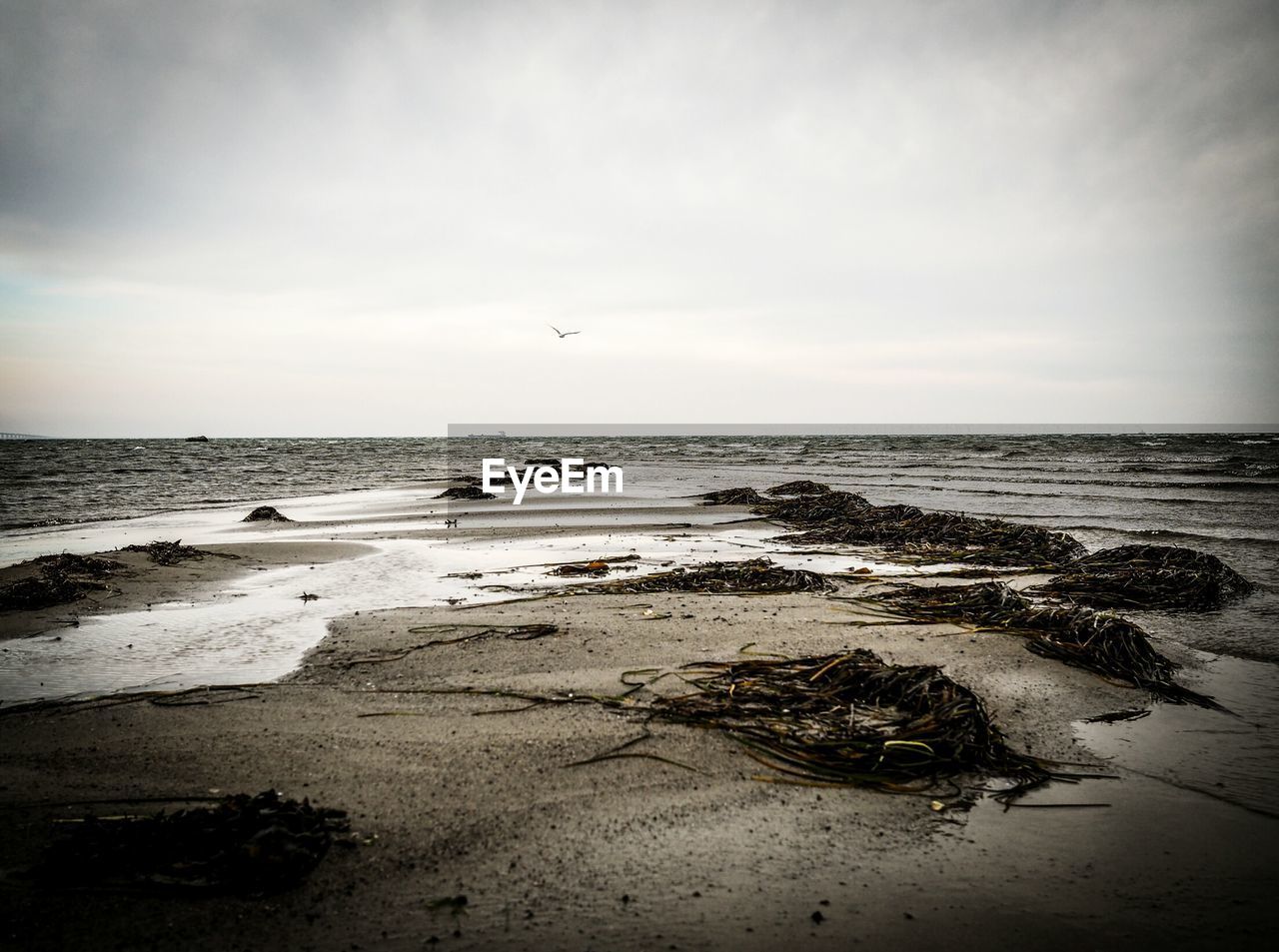 Scenic view of beach against cloudy sky