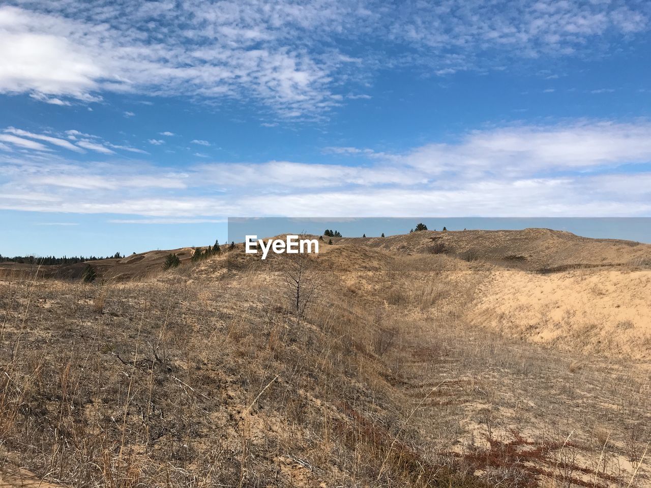 landscape, sky, environment, natural environment, land, cloud, nature, hill, scenics - nature, soil, wilderness, steppe, no people, plateau, rock, plant, grass, geology, sand, prairie, beauty in nature, non-urban scene, day, blue, desert, outdoors, tranquility, travel destinations, travel, terrain, semi-arid, horizon, animal wildlife, dry, plain, tranquil scene, animal, horizon over land, field, tourism, grassland, animal themes