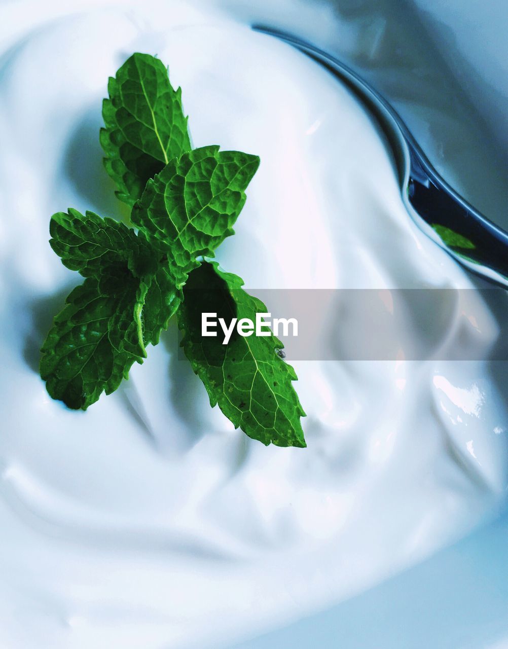 Detail shot of yoghurt with mint leaves