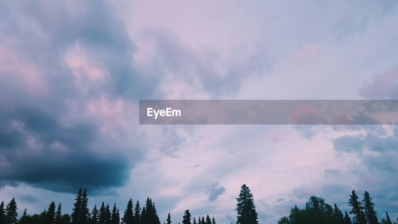 LOW ANGLE VIEW OF TREES AGAINST CLOUDY SKY