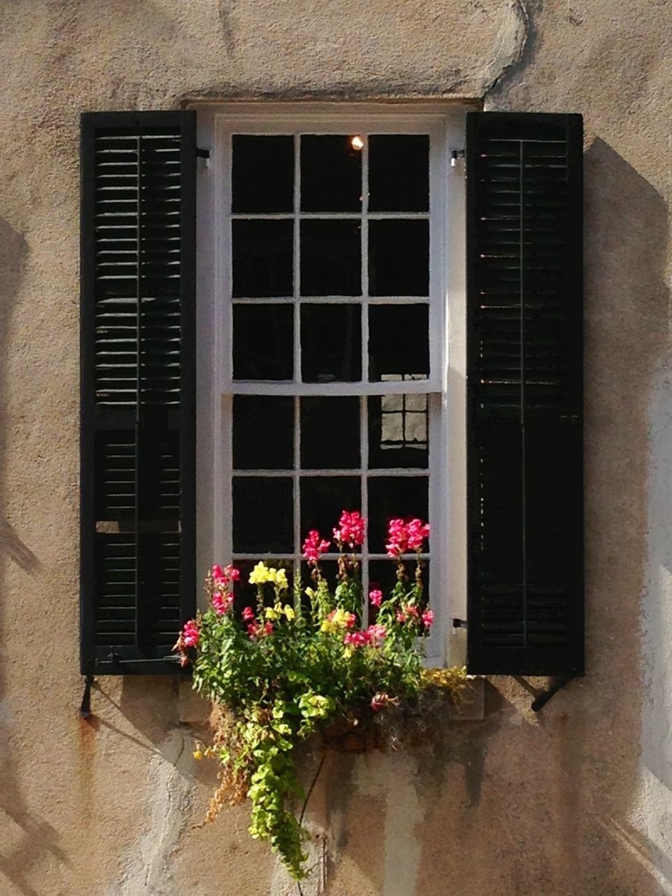 Window box with blooming flowers