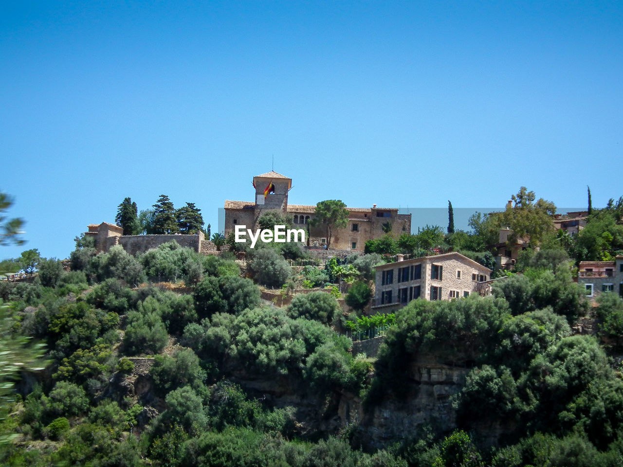 Trees and cityscape against clear blue sky