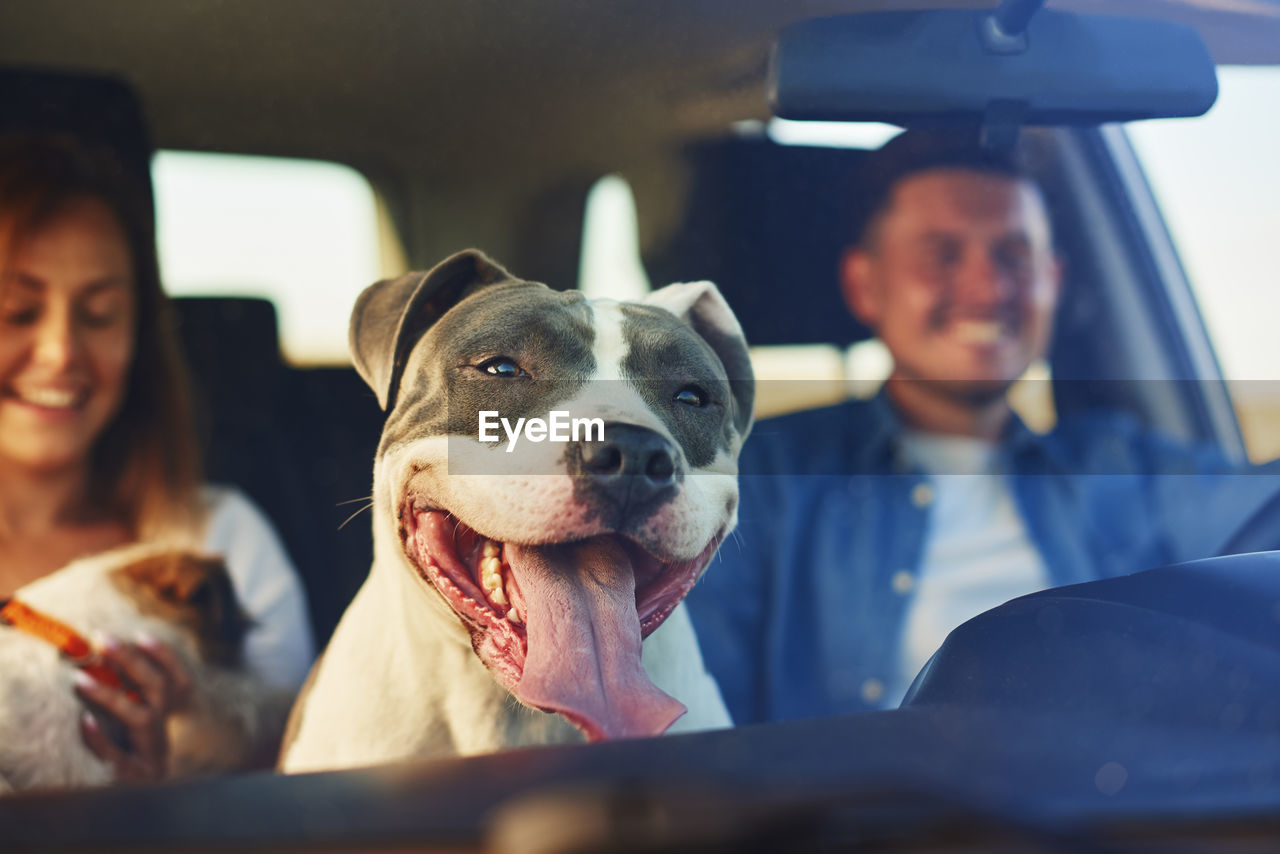 Smiling couple with dog in car