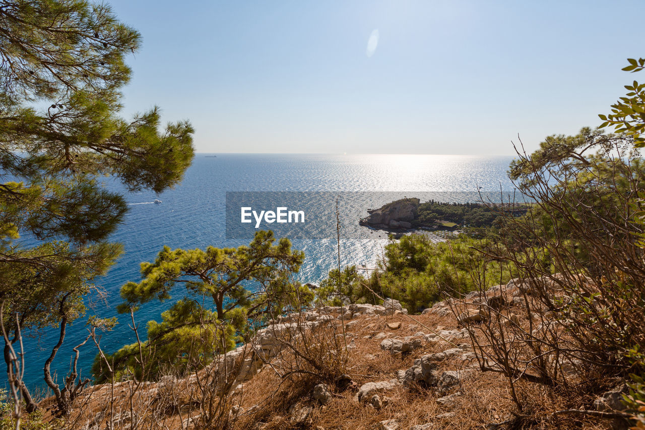 Beautiful view through the branches of the blue sea