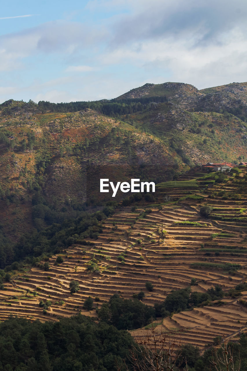 SCENIC VIEW OF FIELD BY MOUNTAIN AGAINST SKY