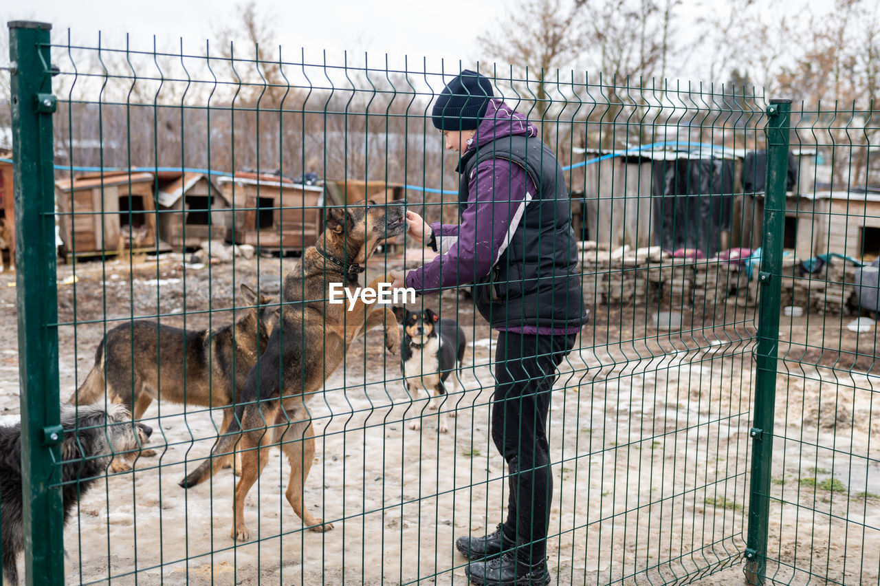 Girl volunteer in the nursery for dogs. shelter for stray dogs.